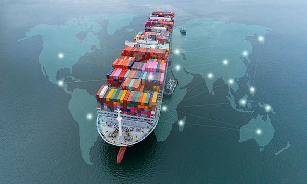 SAP SAP Global Trade Services (GTS)